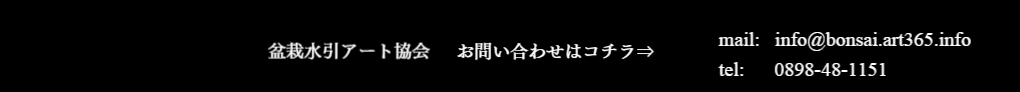 盆栽水引アート協会への問い合わせはコチラ