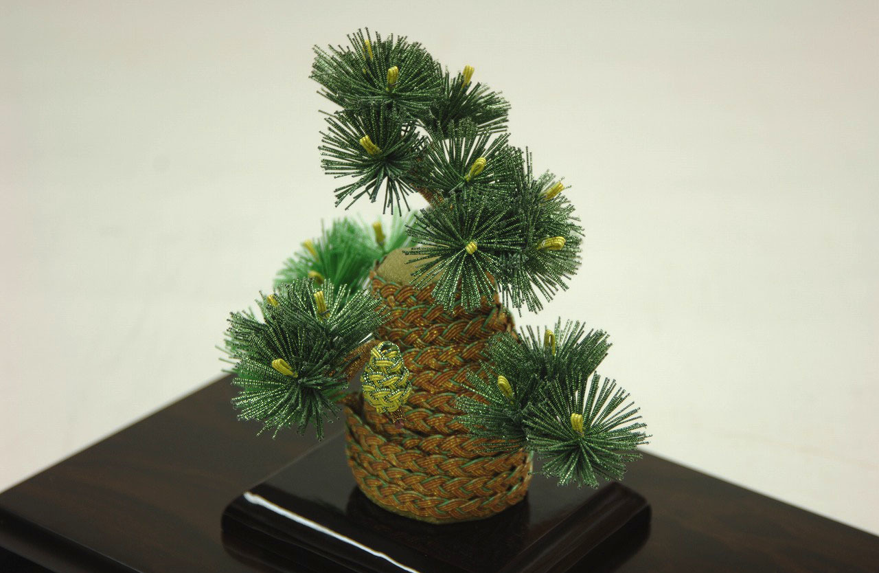 相生松18詳細写真2