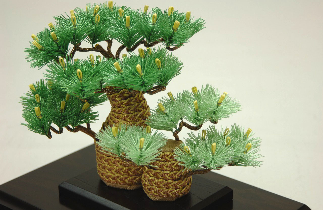 あすか松20詳細写真2